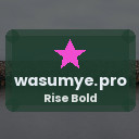 wasumye.pro